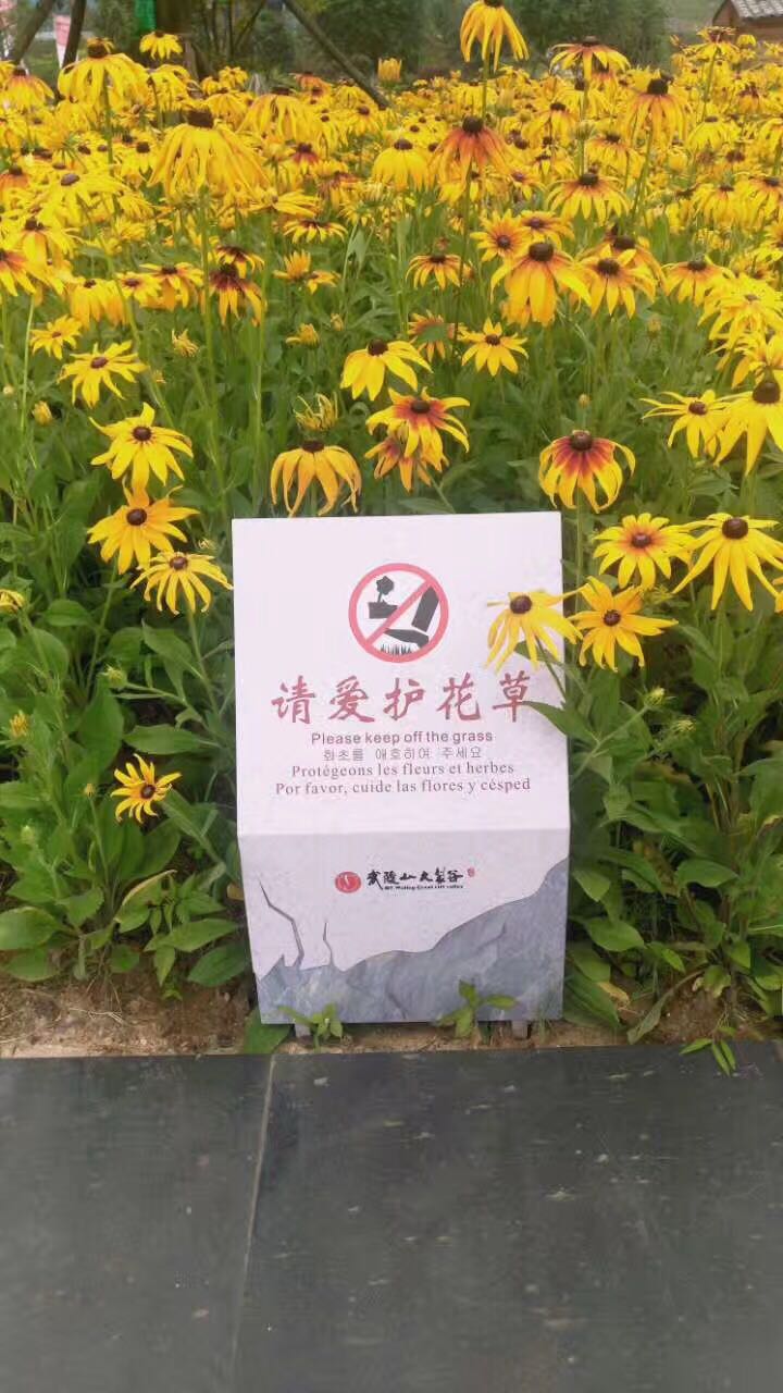 笨鳥項(xiàng)目落地丨武陵山大裂谷標(biāo)識(shí)系統(tǒng)工程 笨鳥項(xiàng)目落地丨武陵山大裂谷標(biāo)識(shí)系統(tǒng)工程