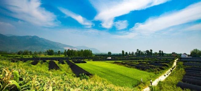 全域旅游規(guī)劃